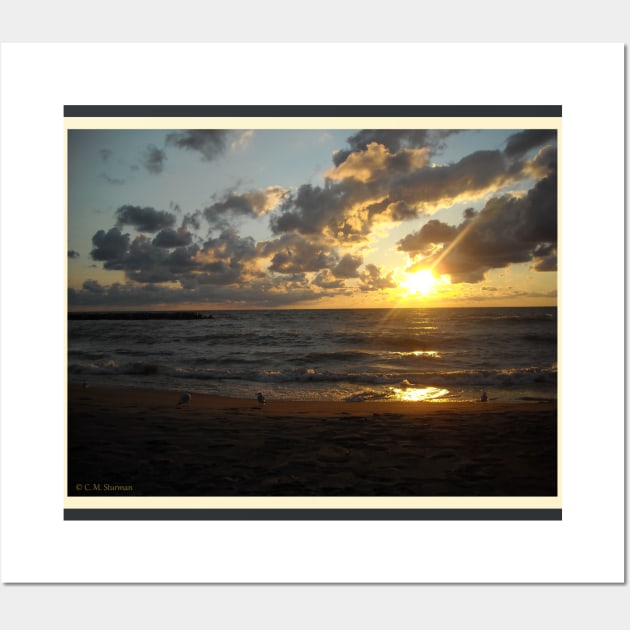 Seagulls with Lake Erie Sunset Wall Art by csturman